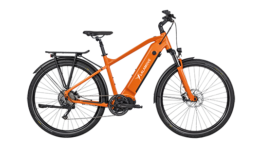 Ecobike MX_Small