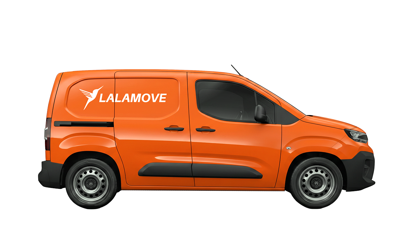 Medium van